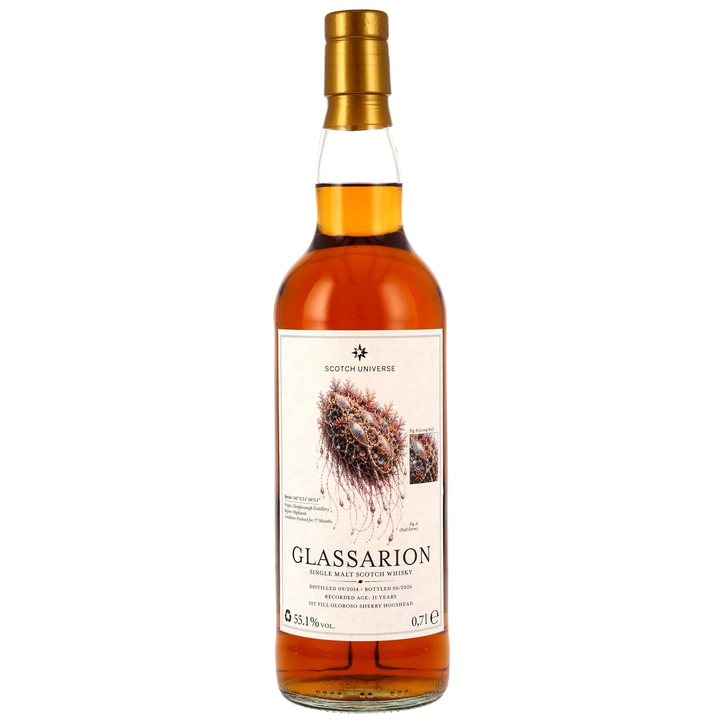 GLASSARION (Glenglassaugh) 11 2014/2026 - Scotch Universe - 1st Fill Oloroso Sherry Hogshead