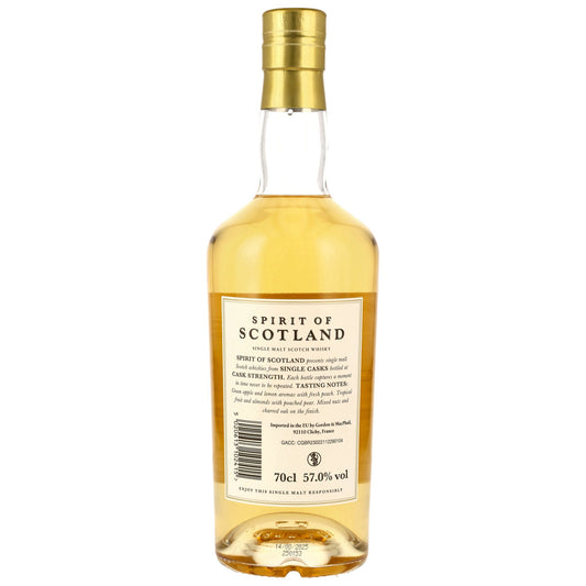 Tomatin 10 2014/2025 - G&M Spirit of Scotland - Refill Bourbon Barrel #3713